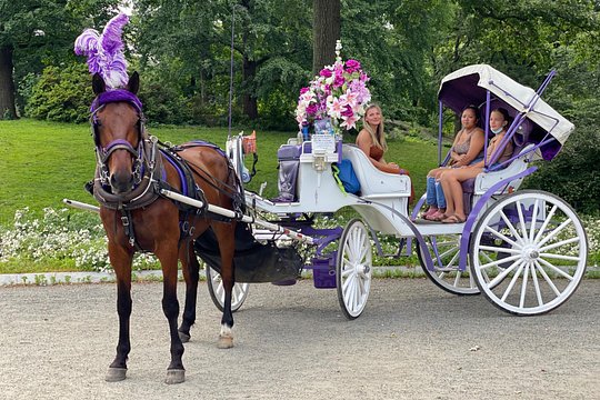 Tour image 8