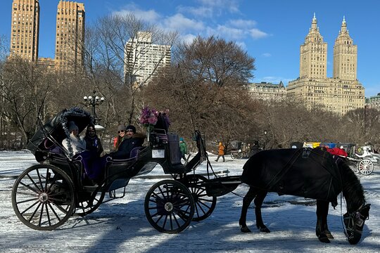 Tour image 4